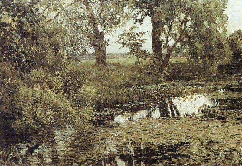 Isaac Levitan Overgrown Pond china oil painting image
